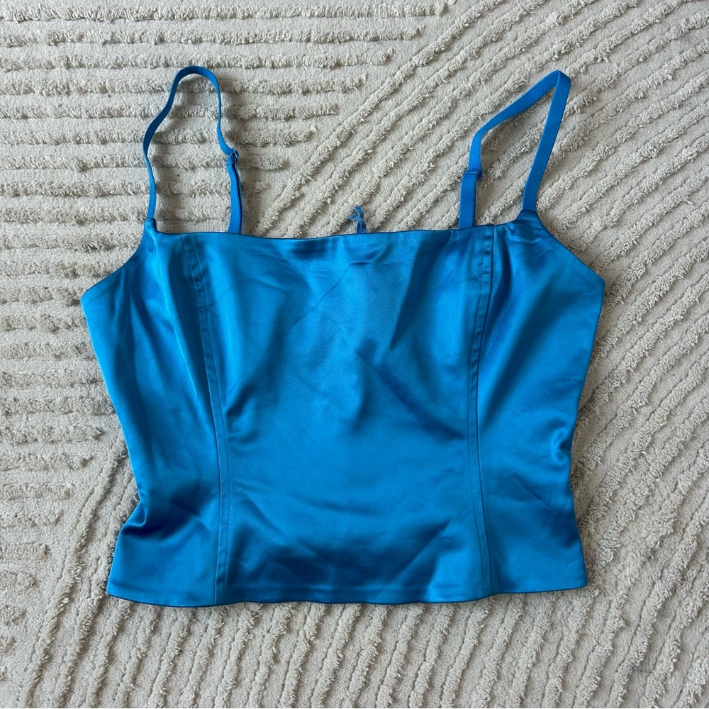 Aritzia Blue Satin Corset Top
